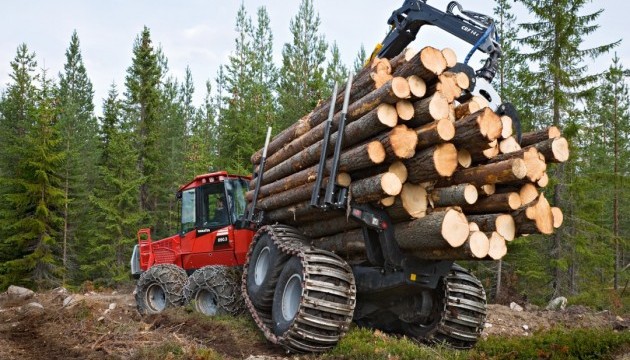 Електронна система обліку деревини запрацює з 1 липня 