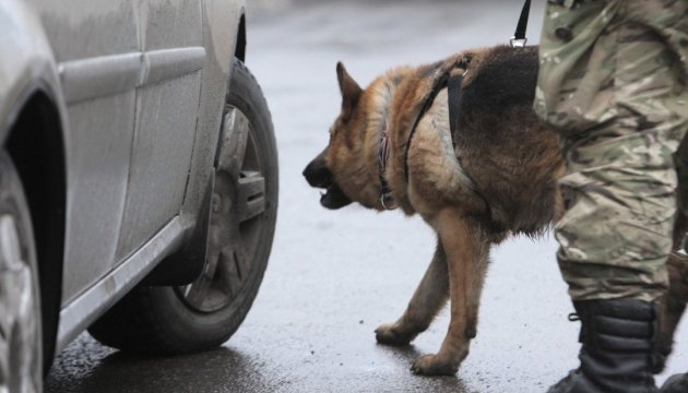 У Покровську на блокпосту службовий пес знайшов автомат Калашникова