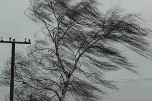 В Одесі оголосили штормове попередження