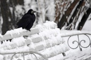 В Україні від 14° морозу до 9° тепла, подекуди - сніг із дощем