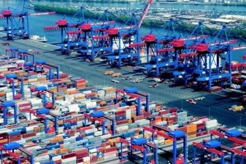 Доходи лідерів ринку транспорту й логістики торік зросли на 12% до ₴243,67 мільярда - Опендатабот
