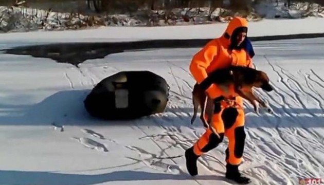 Рятувальники витягли собаку з крижаної річки