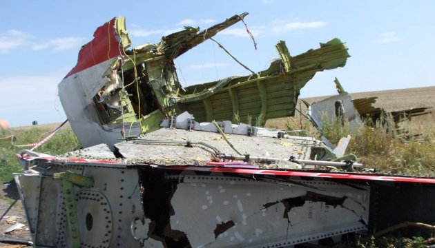 Ukraine, Netherlands discuss cooperation in probing MH17 crash - Foreign Ministry 