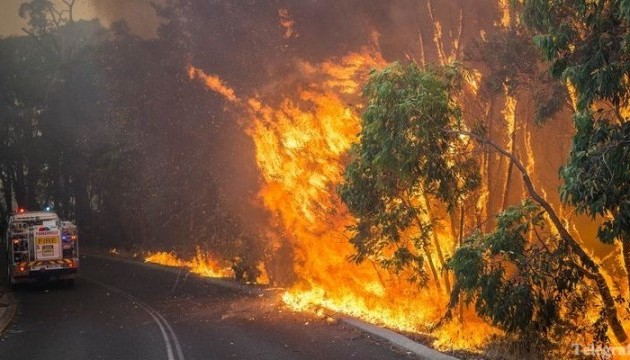 В Австралії вирують лісові пожежі, є жертви