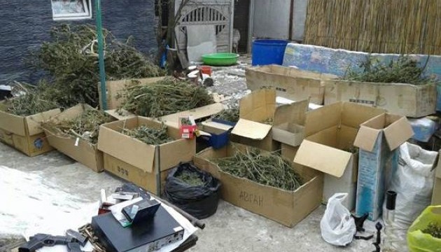 У жителя Запоріжжя знайшли марихуани на 400 тисяч