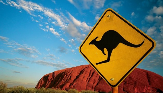 Австралійський ісламіст хотів зробити з кенгуру смертника