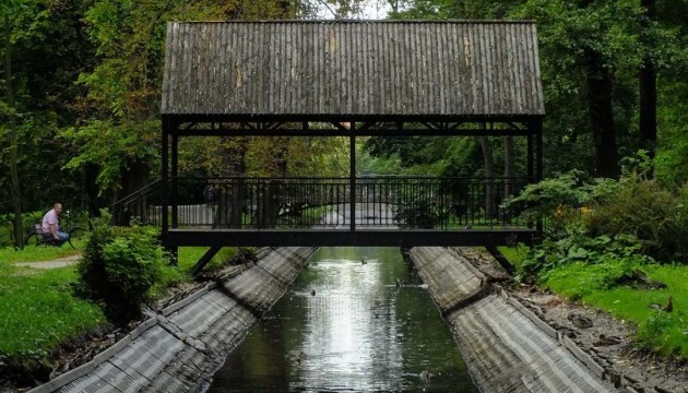Бобри з'їли історичний міський парк у Польщі