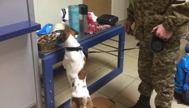 Прикордонний пес знайшов цукерки з кокаїновою «начинкою»  
