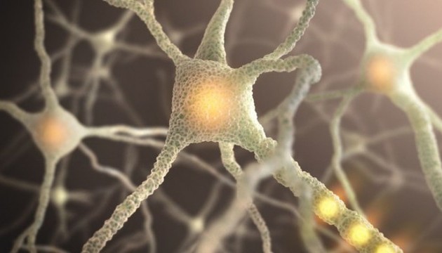 Вчені розробили технологію лазерного зварювання нейронів один з одним