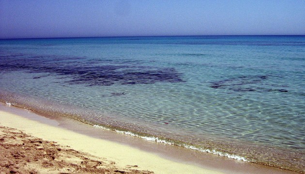 Учені зафіксували рекордну температуру води в Середземному морі