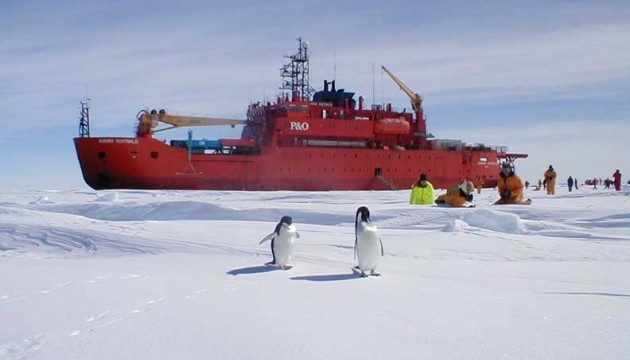 В Антарктиді виявили величезну тріщину