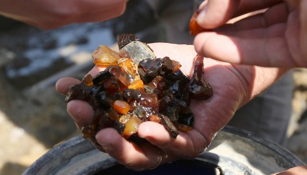 В Раді бурштином займеться спеціальна група