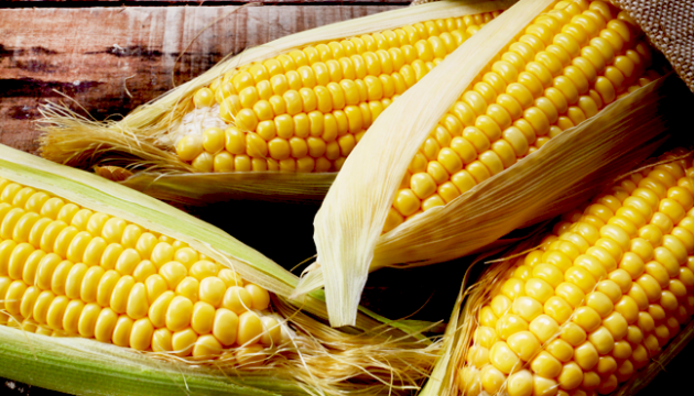 Ukraine ist größter Maisexporteur nach China