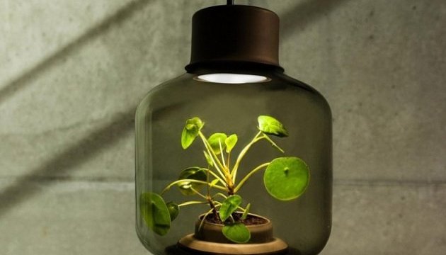 Створено лампу, що дозволяє вирощувати рослини без світла і води