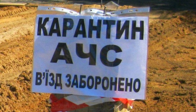 На Київщині - спалах чуми свиней, у районі оголосили карантин