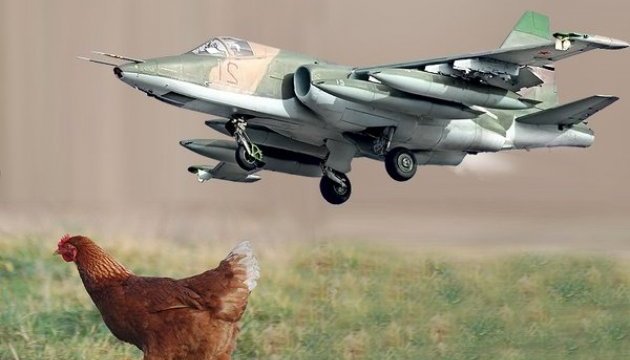 Angry Birds проти Су-25. Або соцмережі про Курку, що вижила