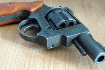 Чехія вносить право на самозахист зі зброєю у свою Конституцію