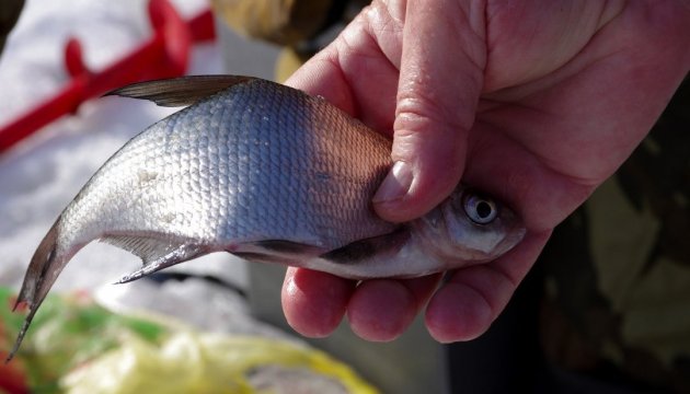 Fish and seafood worth $77 mln imported to Ukraine from Norway in 2016 

