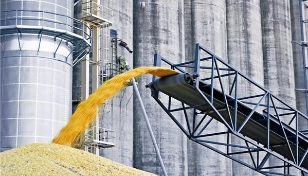 Ukraine's agriculture ministry launches pilot projects in four regions to improve grain quality