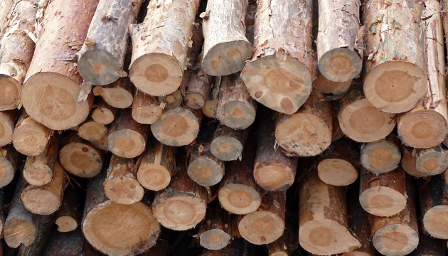 EU claims victory in wood export ban dispute with Ukraine