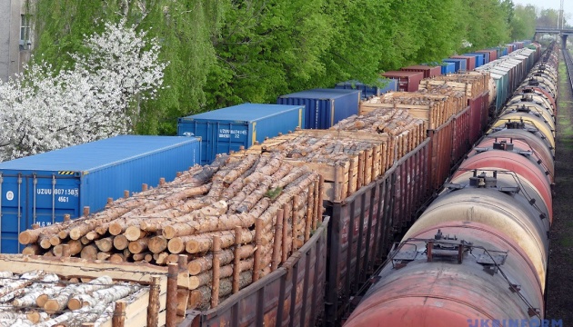 На Закарпатті конфіскували перші вагони з 