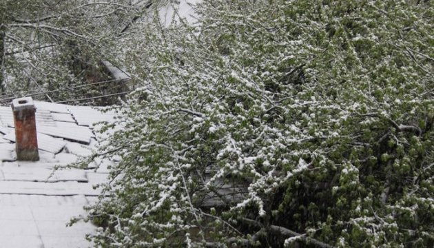 Страсний тиждень на Львівщині розпочався снігом