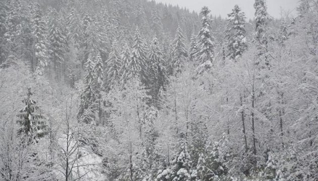 Los Cárpatos cubiertos de nieve 