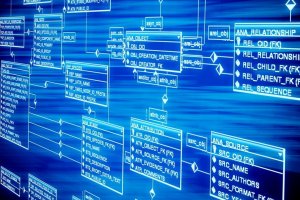 A software developer to stimulate business growth with smart novelties