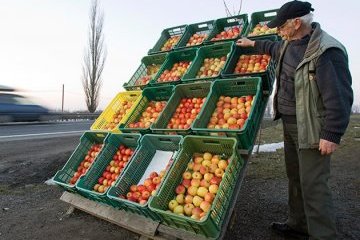 В Украине создадут базу данных фермерских хозяйств