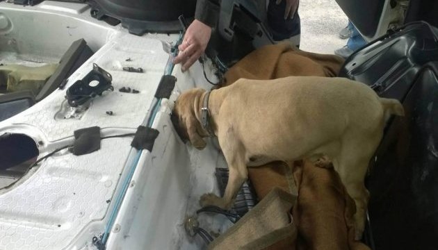 Контрабандисти вбили уславленого прикордонного собаку