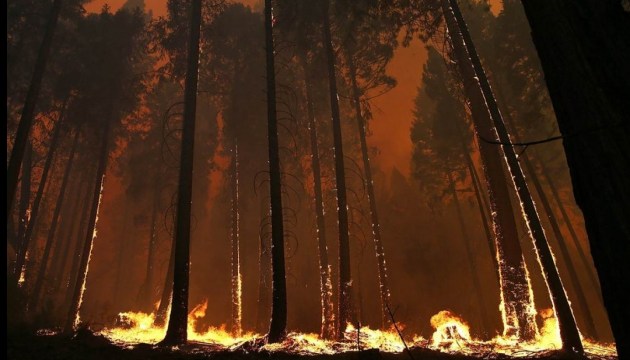 Лісові пожежі у Канаді продовжують захоплювати нові території