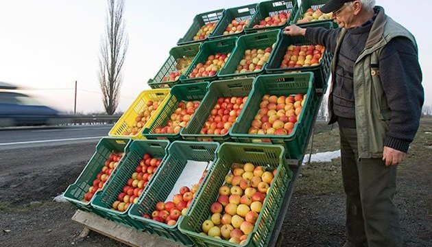 В Україні створять базу даних фермерських господарств 
