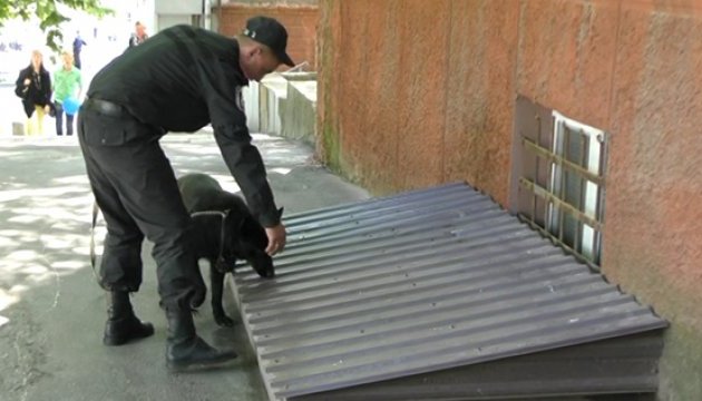 Службовий пес знайшов гранату на людній вулиці в Дніпропетровську