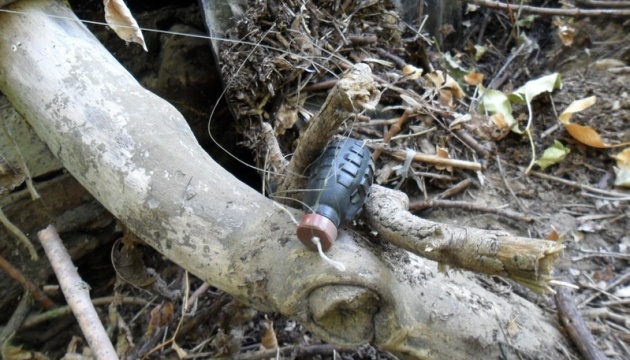 Land mines pose threat to wildlife in Chornobyl exclusion zone - ecology ministry