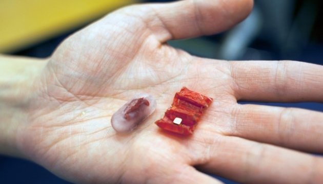 Вчені створили орігамі-робота, який може видаляти зі шлунку сторонні предмети