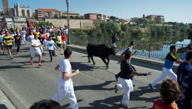 Іспанія заборонила вбивати бика під час фестивалю 