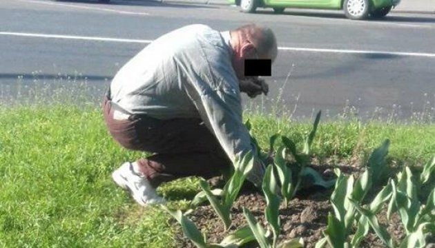 У Рівному поліція примусила п’яничку посадити вирвані ним тюльпани