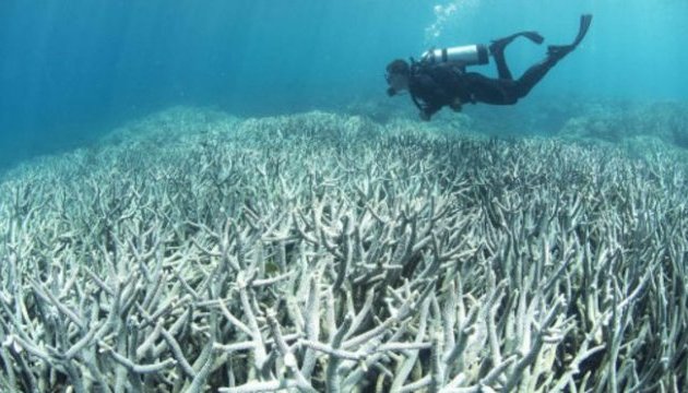 Австралійський уряд виділить $1 мільярд на порятунок Великого Бар’єрного рифу