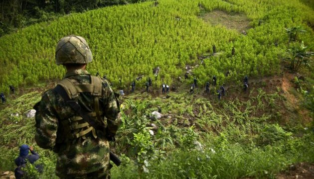 Влада Колумбії спільно з повстанцями боротиметься проти кокаїнових плантацій