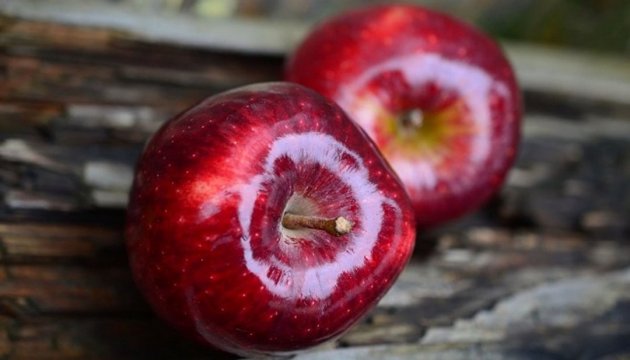Aumentan exportaciones de manzanas y peras de Ucrania