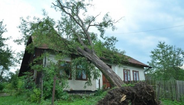 Негода на Львівщині знеструмила 115 населених пунктів
