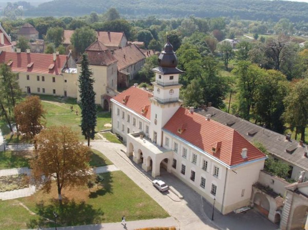 Замок Жолкевських
