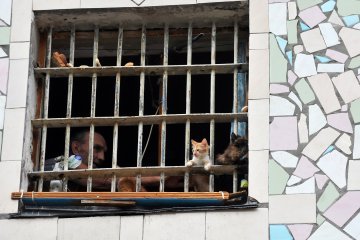 У Львові хабарники-високопосадовці вийшли на волю під солідні застави