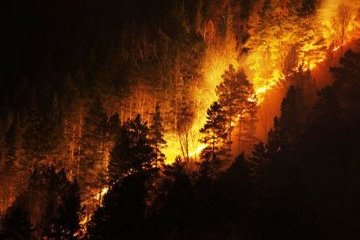 Лісові пожежі охопили Грецію, Іспанію та Португалію