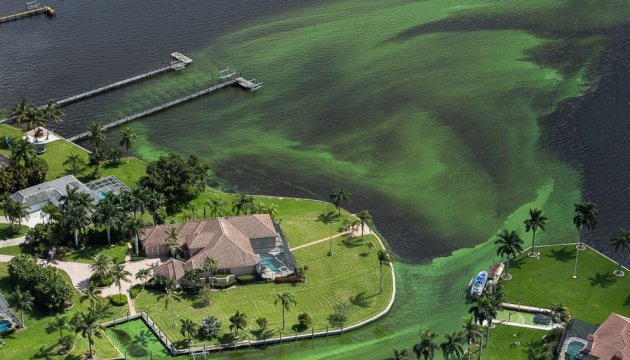 У південній Флориді оголошено надзвичайний стан через токсичні водорості