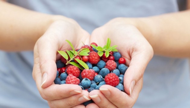 In Ukraine kann Ernte von Beeren und Früchten Erne letzten Jahres um 10-30 % übersteigen