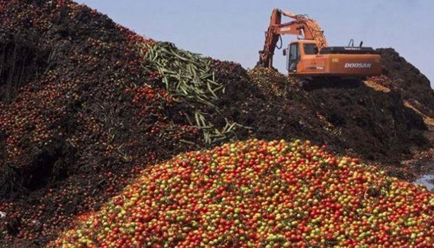 En Rusia destruyen con bulldozer siete toneladas de cereza ucraniana