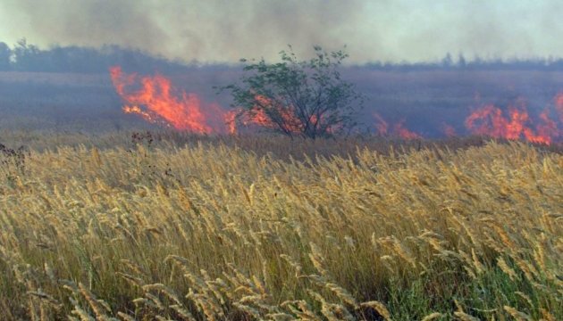 Масштабна пожежа знищила 65 гектарів лісу на Луганщині