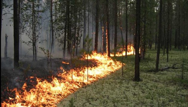 Emergencies official: wild fire in Chornobyl exclusion zone localized