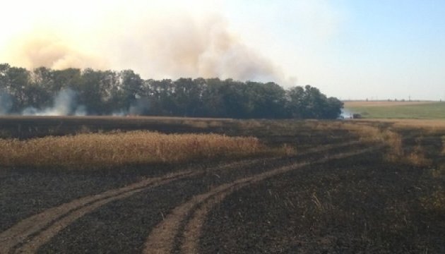 У Донецькій області від вогню врятовано понад 76 га пшениці 

